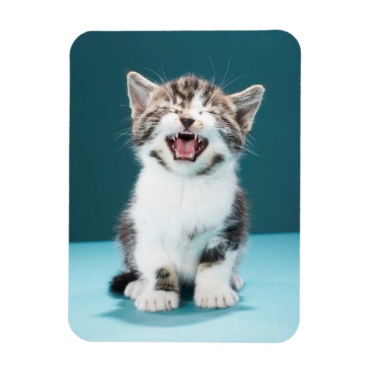 最も可愛い赤ん坊の動物 |ニャーグベビー子猫 マグネット (縦)