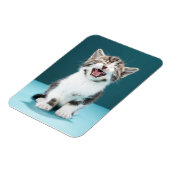 最も可愛い赤ん坊の動物 |ニャーグベビー子猫 マグネット (左側)