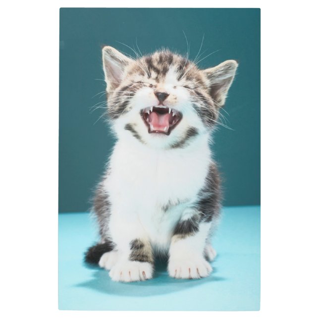 最も可愛い赤ん坊の動物 |ニャーグベビー子猫 メタルプリント (正面)