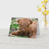 最も可愛い赤ん坊の動物 |ハイランドカウカーフ カード (黄色い花)