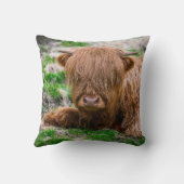 最も可愛い赤ん坊の動物 |ハイランドカウカーフ クッション (裏面)