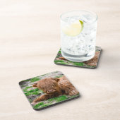 最も可愛い赤ん坊の動物 |ハイランドカウカーフ コースター (右側)