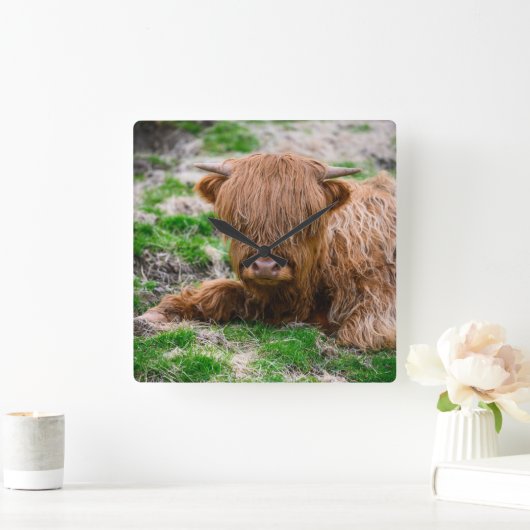 最も可愛い赤ん坊の動物 |ハイランドカウカーフ スクエア壁時計 (ホーム)