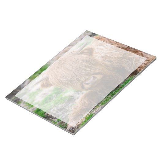 最も可愛い赤ん坊の動物 |ハイランドカウカーフ ノートパッド (アングル)