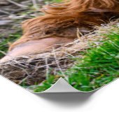 最も可愛い赤ん坊の動物 |ハイランドカウカーフ ポスター (角)