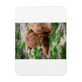 最も可愛い赤ん坊の動物 |ハイランドカウカーフ マグネット (縦)