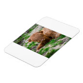 最も可愛い赤ん坊の動物 |ハイランドカウカーフ マグネット (左側)