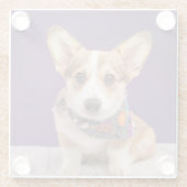 最も可愛い赤ん坊の動物 |ハロウィーン・コルギ ガラスコースター (裏面)