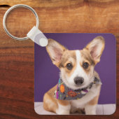 最も可愛い赤ん坊の動物 |ハロウィーン・コルギ キーホルダー (正面)