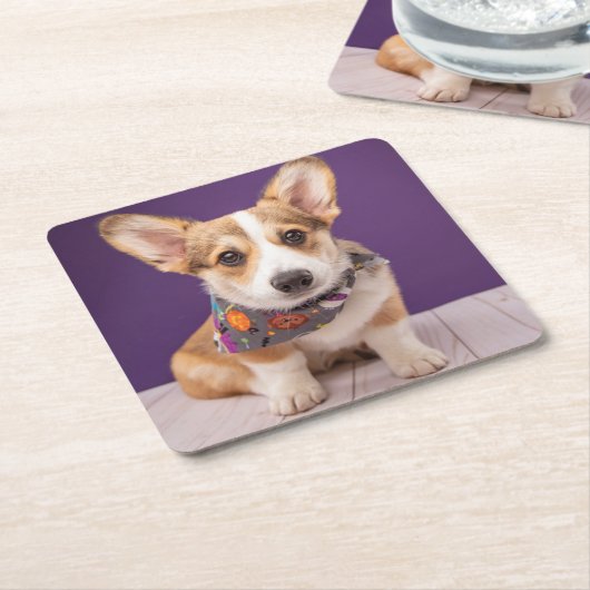 最も可愛い赤ん坊の動物 |ハロウィーン・コルギ スクエアペーパーコースター (アングル)