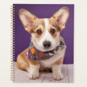 最も可愛い赤ん坊の動物 |ハロウィーン・コルギ プランナー手帳 (正面)