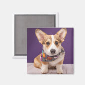 最も可愛い赤ん坊の動物 |ハロウィーン・コルギ マグネット (正面/裏面)