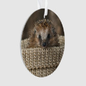最も可愛い赤ん坊の動物 |バスケット内のハリネズミ オーナメント (正面)