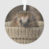 最も可愛い赤ん坊の動物 |バスケット内のハリネズミ オーナメント (裏面)