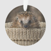 最も可愛い赤ん坊の動物 |バスケット内のハリネズミ オーナメント (正面)