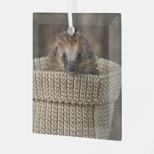 最も可愛い赤ん坊の動物 |バスケット内のハリネズミ ガラスオーナメント (正面左)