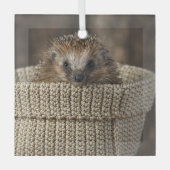 最も可愛い赤ん坊の動物 |バスケット内のハリネズミ ガラスオーナメント (正面)