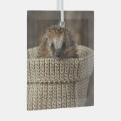 最も可愛い赤ん坊の動物 |バスケット内のハリネズミ ガラスオーナメント (正面右)