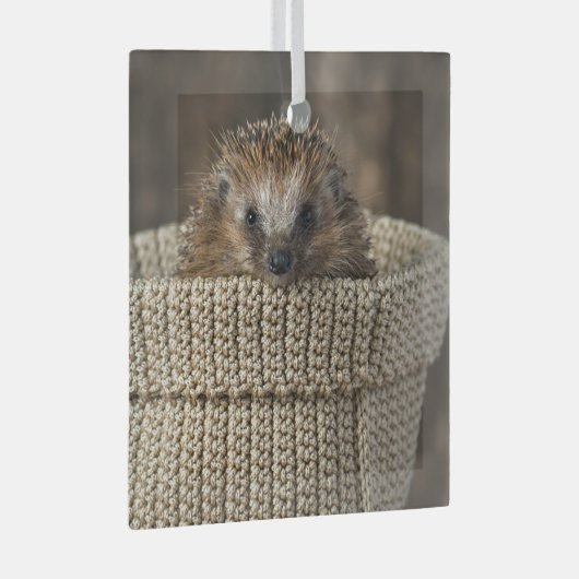 最も可愛い赤ん坊の動物 |バスケット内のハリネズミ ガラスオーナメント (正面右)