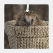 最も可愛い赤ん坊の動物 |バスケット内のハリネズミ ガラスオーナメント (裏面)