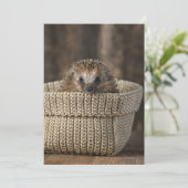 最も可愛い赤ん坊の動物 |バスケット内のハリネズミ サンキューカード (スタンド正面)