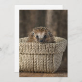 最も可愛い赤ん坊の動物 |バスケット内のハリネズミ サンキューカード (正面/裏面)