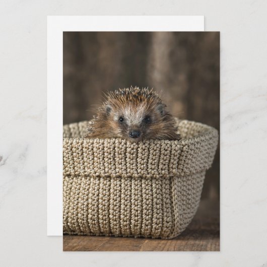 最も可愛い赤ん坊の動物 |バスケット内のハリネズミ サンキューカード (正面/裏面)