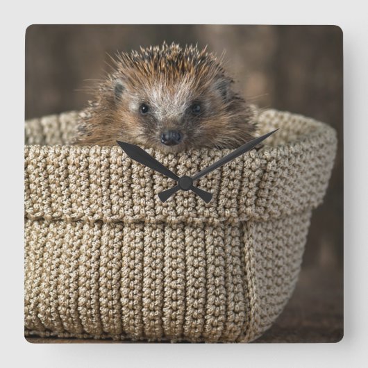 最も可愛い赤ん坊の動物 |バスケット内のハリネズミ スクエア壁時計 (正面)