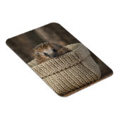 最も可愛い赤ん坊の動物 |バスケット内のハリネズミ マグネット (右側)