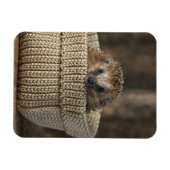 最も可愛い赤ん坊の動物 |バスケット内のハリネズミ マグネット (横)