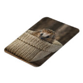 最も可愛い赤ん坊の動物 |バスケット内のハリネズミ マグネット (左側)