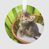 最も可愛い赤ん坊の動物 |バスケット内の子猫 オーナメント (正面)