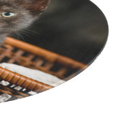 最も可愛い赤ん坊の動物 |バスケット内の子猫 カッティングボード (角)