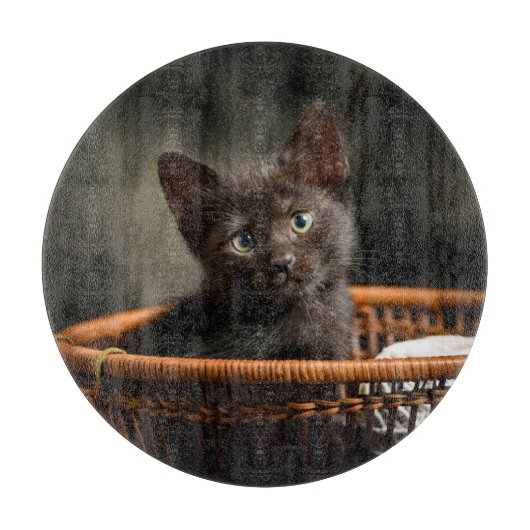 最も可愛い赤ん坊の動物 |バスケット内の子猫 カッティングボード (正面)