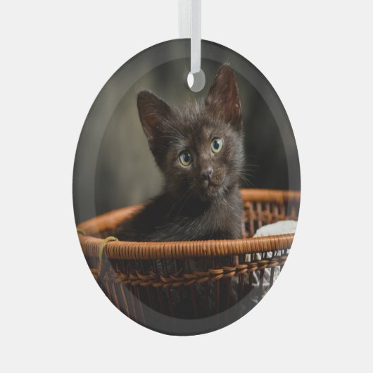 最も可愛い赤ん坊の動物 |バスケット内の子猫 ガラスオーナメント (正面右)