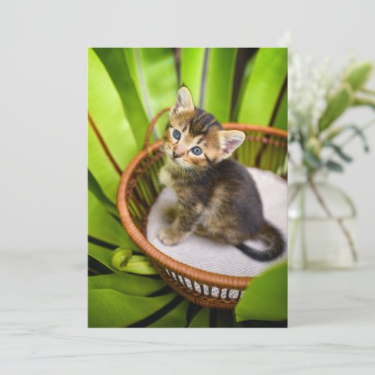 最も可愛い赤ん坊の動物 |バスケット内の子猫 サンキューカード (スタンド正面)