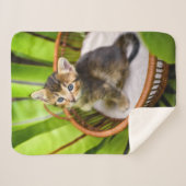 最も可愛い赤ん坊の動物 |バスケット内の子猫 シェルパブランケット (正面(横))