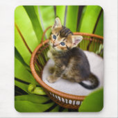 最も可愛い赤ん坊の動物 |バスケット内の子猫 マウスパッド (正面)