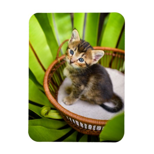 最も可愛い赤ん坊の動物 |バスケット内の子猫 マグネット (縦)