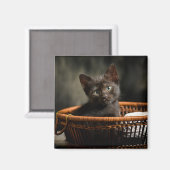最も可愛い赤ん坊の動物 |バスケット内の子猫 マグネット (正面/裏面)