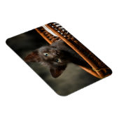最も可愛い赤ん坊の動物 |バスケット内の子猫 マグネット (右側)