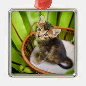 最も可愛い赤ん坊の動物 |バスケット内の子猫 メタルオーナメント (正面)