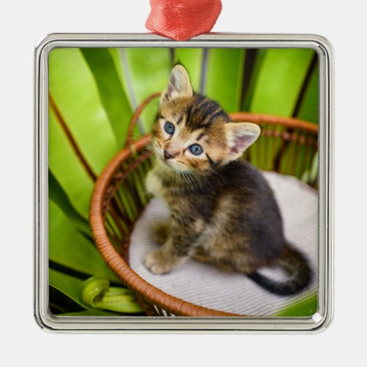 最も可愛い赤ん坊の動物 |バスケット内の子猫 メタルオーナメント (正面)