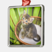 最も可愛い赤ん坊の動物 |バスケット内の子猫 メタルオーナメント (左)