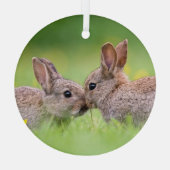 最も可愛い赤ん坊の動物 |バニーキス ガラスオーナメント (裏面)