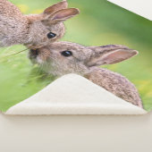 最も可愛い赤ん坊の動物 |バニーキス シェルパブランケット (3/4)