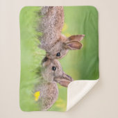 最も可愛い赤ん坊の動物 |バニーキス シェルパブランケット (正面)