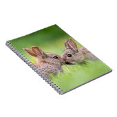 最も可愛い赤ん坊の動物 |バニーキス ノートブック (右側)