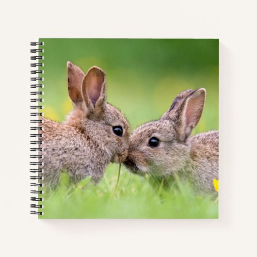最も可愛い赤ん坊の動物 |バニーキス ノートブック (正面)