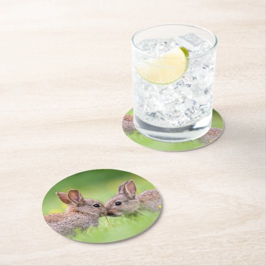 最も可愛い赤ん坊の動物 |バニーキス ラウンドペーパーコースター (インサイチュ)